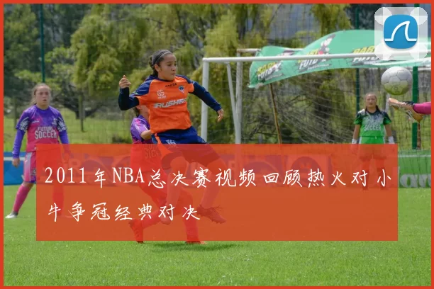2011年NBA总决赛视频回顾热火对小牛争冠经典对决