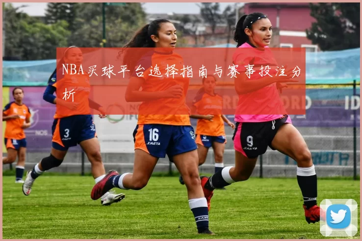 NBA买球平台选择指南与赛事投注分析