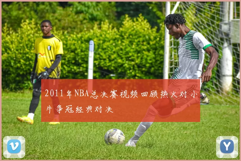 2011年NBA总决赛视频回顾热火对小牛争冠经典对决